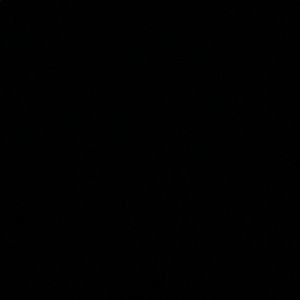 Meet your Posher, Dinusha